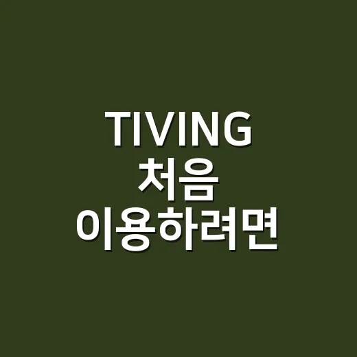 TIVING 처음 이용하려면 이렇게 시작하는 방법 - 요약
