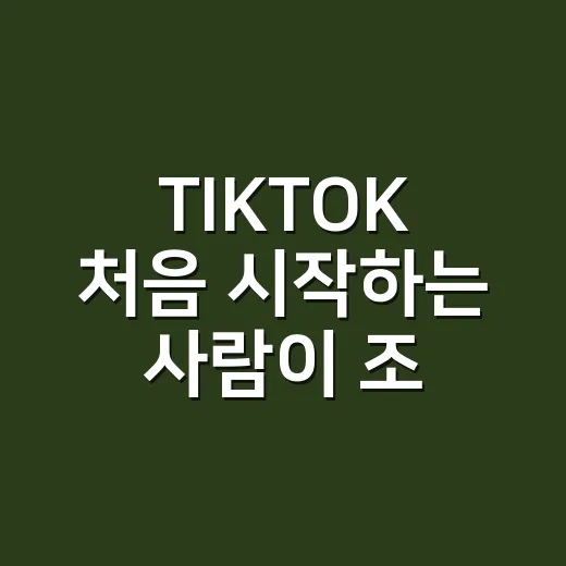 TIKTOK 처음 시작하는 사람이 조회수 키우는 방법 - 요약