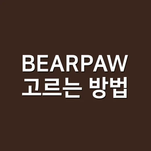BEARPAW 고르는 방법, 사이즈부터 관리까지 초보자도 편하게 - 요약