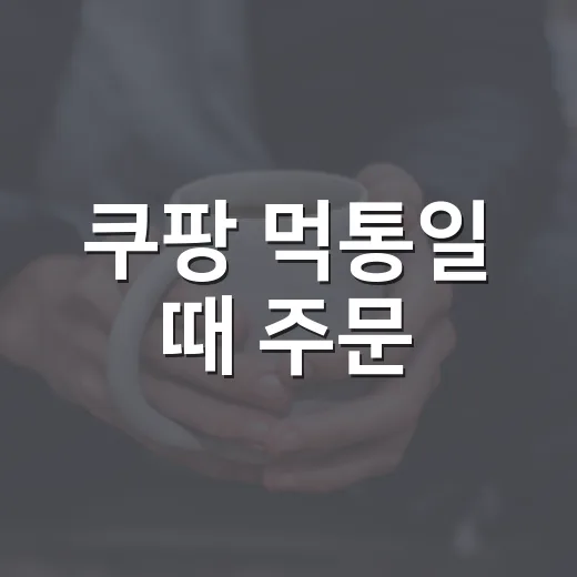 쿠팡 먹통일 때 주문·배송·결제 확인하는 방법 - 요약
