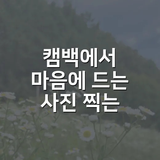 캠백에서 마음에 드는 사진 찍는 방법 - 요약
