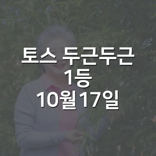 토스 두근두근 1등 10월17일 회차별 확인하는 방법 - 요약