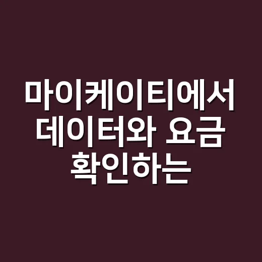 마이케이티에서 데이터와 요금 확인하는 방법 - 요약