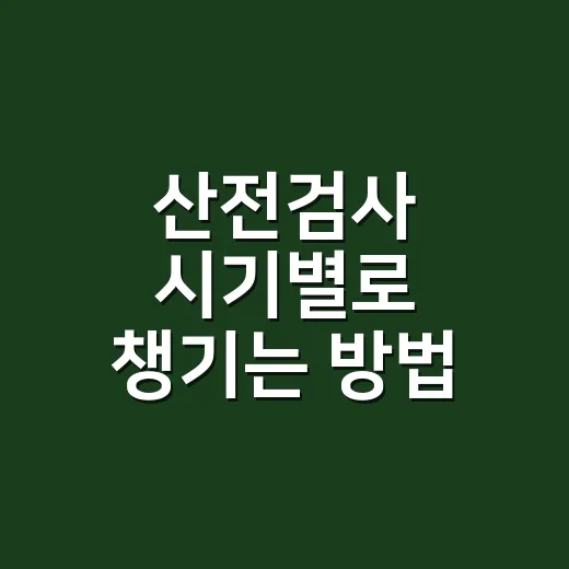 산전검사 시기별로 챙기는 방법 - 요약