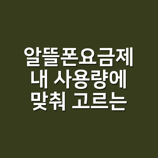 알뜰폰요금제 내 사용량에 맞춰 고르는 방법 - 요약