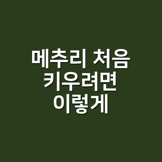 메추리 처음 키우려면 이렇게 준비하세요 - 요약
