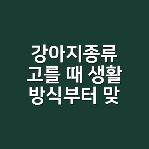 강아지종류 고를 때 생활 방식부터 맞추는 방법 - 요약