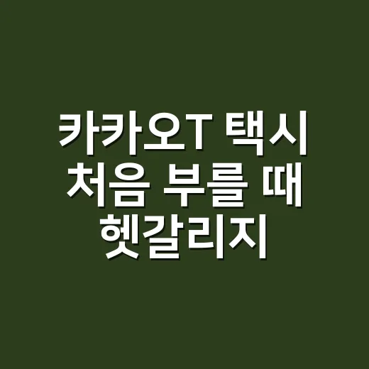 카카오T 택시 처음 부를 때 헷갈리지 않는 방법