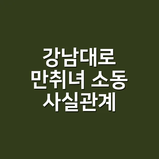 강남대로 만취녀 소동 사실관계 확인하는 방법 - 요약