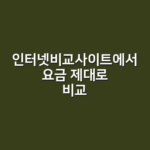 인터넷비교사이트에서 요금 제대로 비교하는 방법 - 요약
