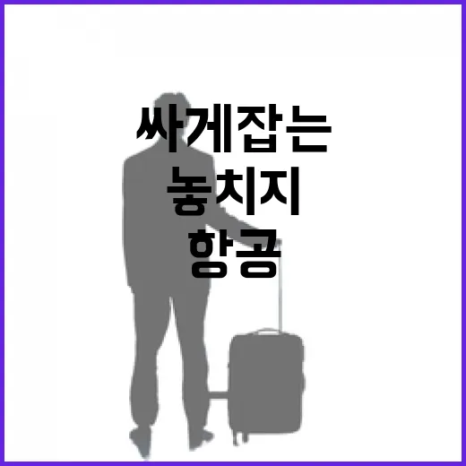 이스타항공프로모션 싸게 잡는 방법, 특가 뜰 때 놓치지 않으려면 이렇게 - 요약