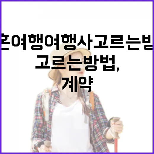 신혼여행여행사 고르는 방법, 처음 계약할 때 놓치기 쉬운 것들 - 요약