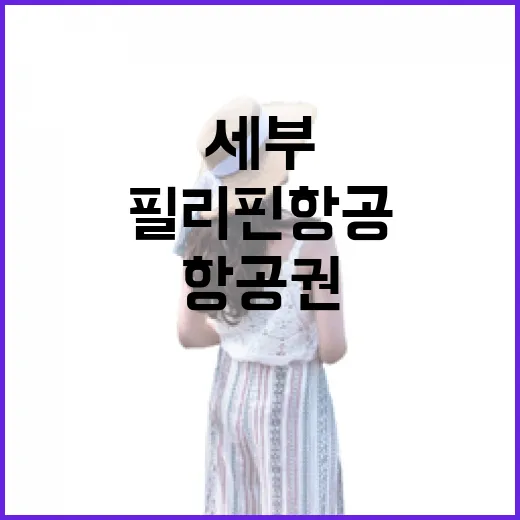 필리핀항공세부 항공권 고르는 방법, 초보자도 덜 헤매는 예약 팁 - 요약