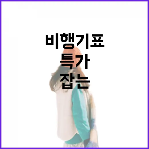 비행기표특가 잡는 방법, 초보자도 실패 줄이려면 이렇게 - 요약
