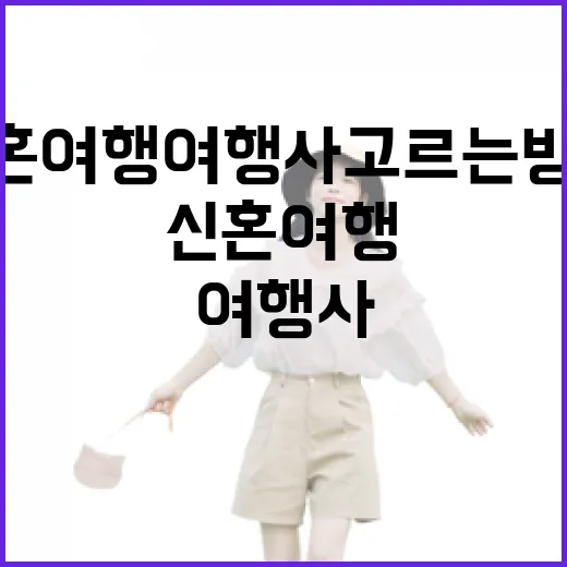 신혼여행여행사 고르는 방법, 처음 준비할 때 이렇게 비교하면 편해요 - 요약