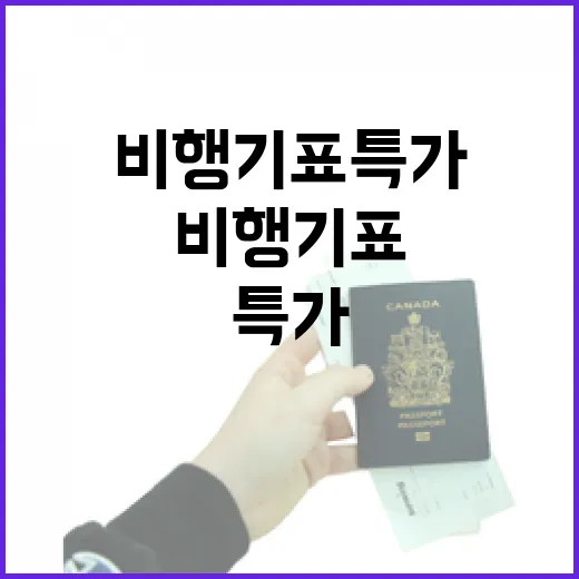 비행기표특가 잡는 방법, 초보자도 놓치지 않게 확인하는 순서 - 요약