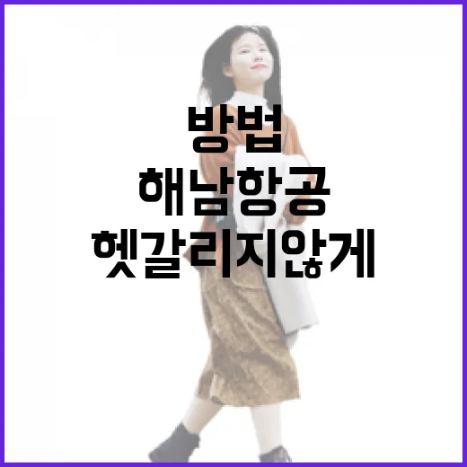 해남항공 예약 전 확인하는 방법, 처음 타는 사람도 헷갈리지 않게 - 요약