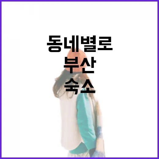 초보자를 위한 부산숙소 고르는 방법, 동네별로 이렇게 보면 편해요 - 요약