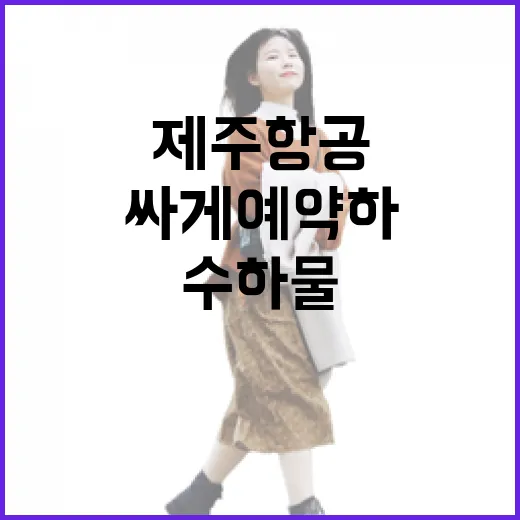 제주항공 싸게 예약하고 수하물 실수 줄이는 방법 - 요약