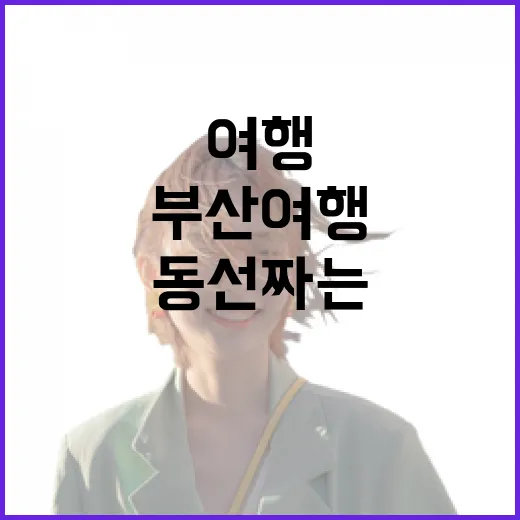 부산여행 처음 가는 사람을 위한 동선 짜는 방법 - 요약