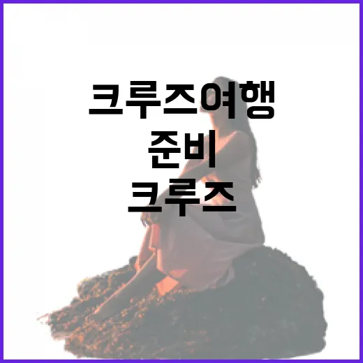 크루즈여행 처음 가려면 이렇게 준비하면 편해요 - 요약