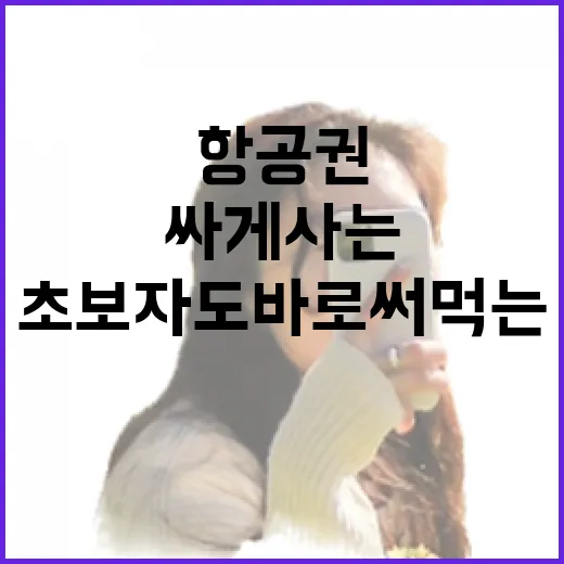 할인항공권 싸게 사는 방법, 초보자도 바로 써먹는 예약 요령 - 요약