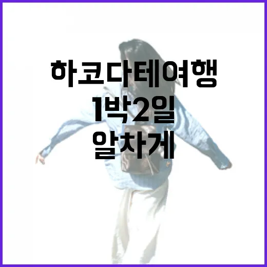하코다테여행 처음 가는 사람이 1박 2일로 알차게 도는 방법 - 요약