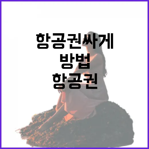 공동구매항공권 싸게 사려면 이렇게 확인하는 방법 - 요약
