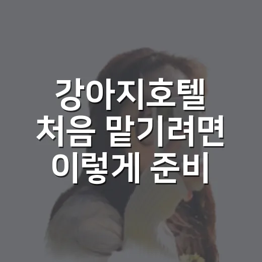 강아지호텔 처음 맡기려면 이렇게 준비하면 마음이 놓입니다 - 요약
