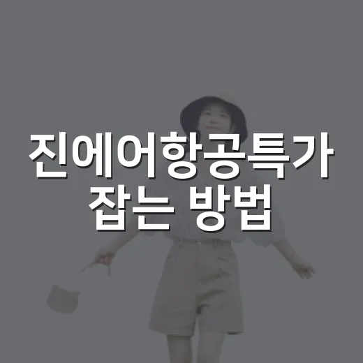 진에어항공특가 잡는 방법, 날짜부터 수하물까지 초보자도 헷갈리지 않게 - 요약