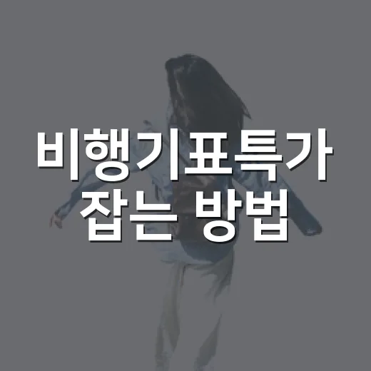 비행기표특가 잡는 방법, 초보자는 이렇게 찾으면 덜 헤맵니다 - 요약