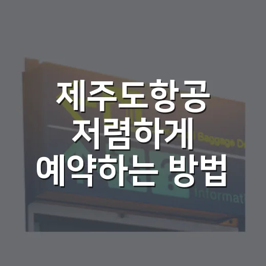 제주도항공 저렴하게 예약하는 방법, 시간대부터 수하물까지 이렇게 고르세요 - 요약