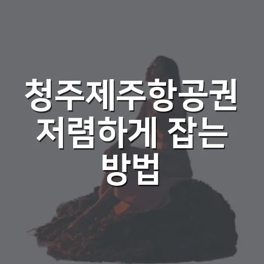 청주제주항공권 저렴하게 잡는 방법, 출발 전 이렇게 비교하세요 - 요약