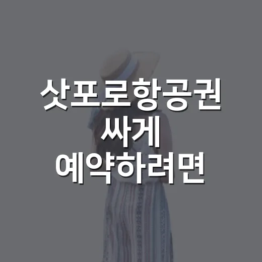 삿포로항공권 싸게 예약하려면 이렇게 고르세요 - 요약