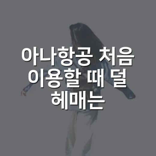아나항공 처음 이용할 때 덜 헤매는 방법 - 요약