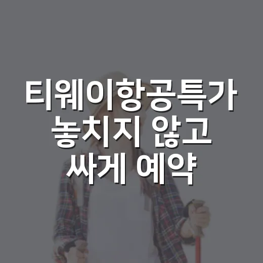 티웨이항공특가 놓치지 않고 싸게 예약하는 방법 - 요약
