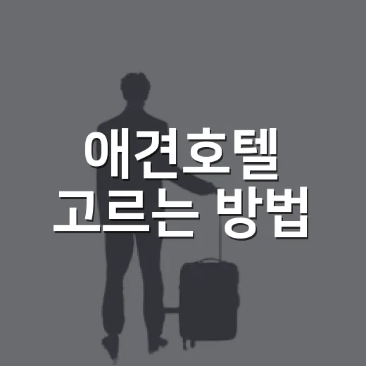 애견호텔 고르는 방법, 처음 맡기기 전 꼭 확인할 것들 - 요약
