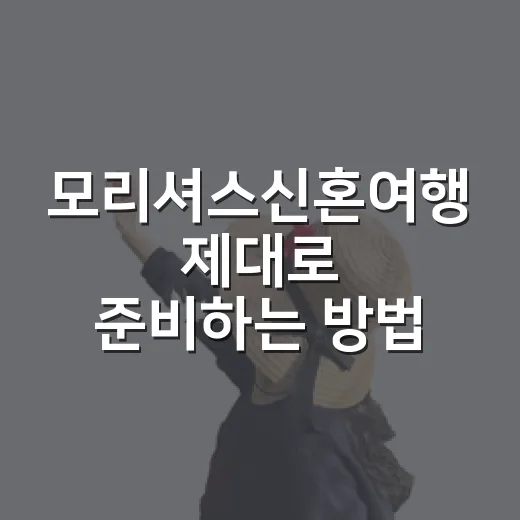 모리셔스신혼여행 제대로 준비하는 방법, 리조트 고르기부터 일정까지 - 요약