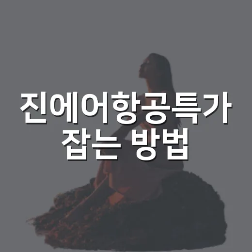 진에어항공특가 잡는 방법, 초보자도 놓치지 않게 보는 순서 - 요약