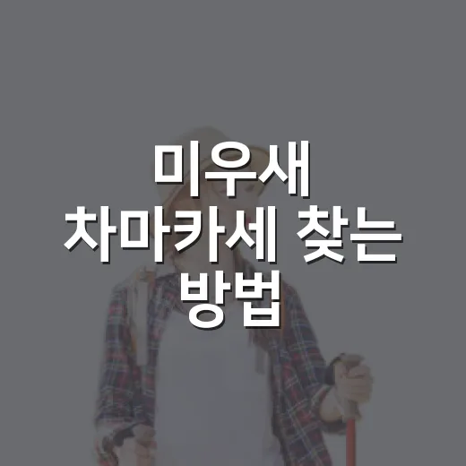 미우새 차마카세 찾는 방법, 방송 속 티 오마카세 즐기려면 이렇게 - 요약