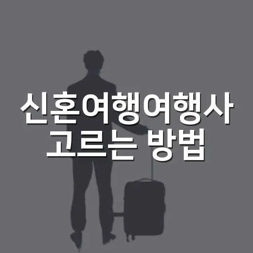 신혼여행여행사 고르는 방법, 처음 준비할 때 이렇게 비교하세요 - 요약