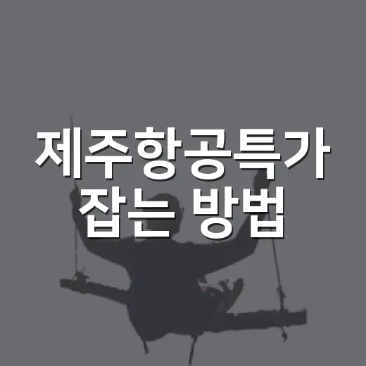 제주항공특가 잡는 방법, 초보자도 놓치지 않게 준비하는 순서 - 요약