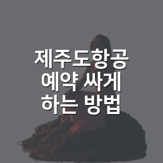 제주도항공 예약 싸게 하는 방법, 처음 가는 사람도 헷갈리지 않게 - 요약