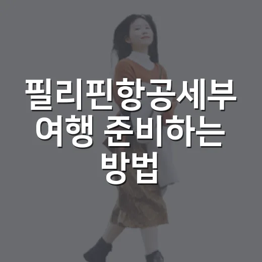 필리핀항공세부 여행 준비하는 방법, 항공권부터 수하물까지 이렇게 챙기기 - 요약