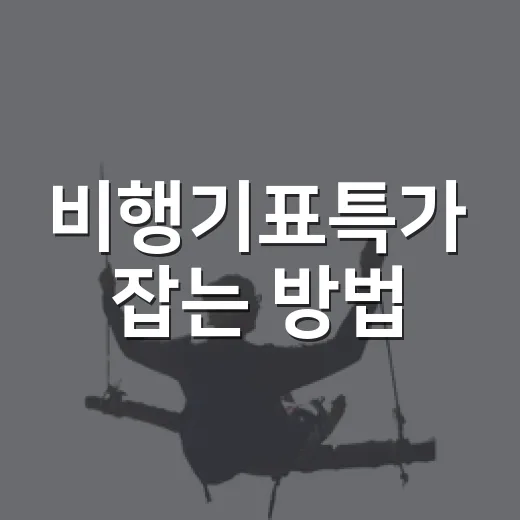 비행기표특가 잡는 방법, 초보자도 놓치지 않으려면 이렇게 - 요약