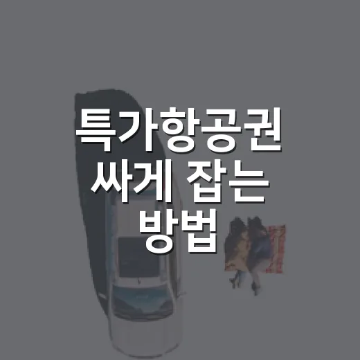 특가항공권 싸게 잡는 방법, 초보자도 놓치지 않으려면 이렇게 - 요약