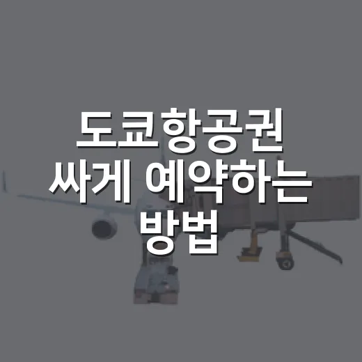 도쿄항공권 싸게 예약하는 방법, 초보자도 놓치기 쉬운 체크포인트 - 요약