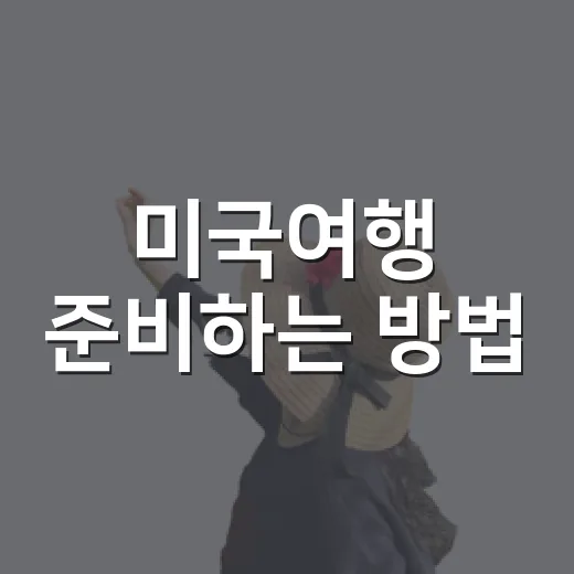 미국여행 준비하는 방법, 처음 가는 사람이 놓치기 쉬운 것들 - 요약