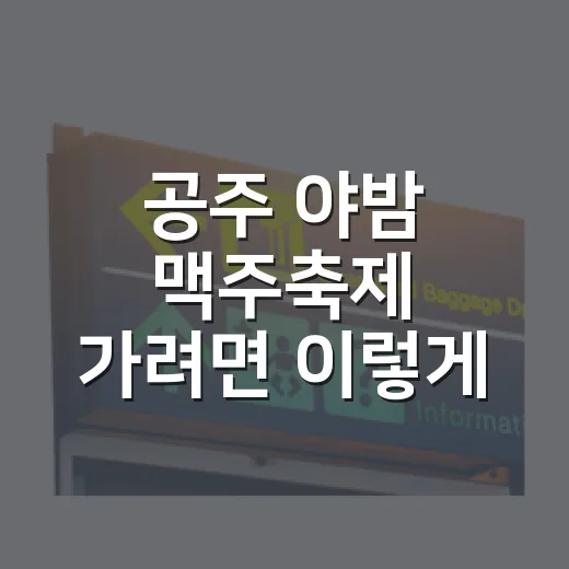 공주 야밤 맥주축제 가려면 이렇게 준비하세요 - 요약