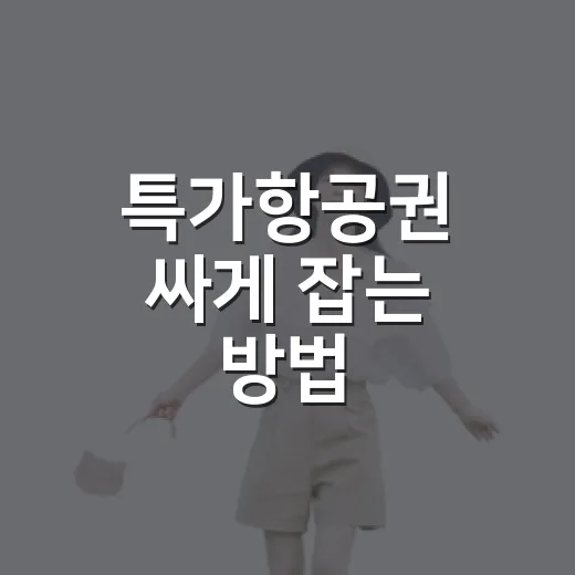 특가항공권 싸게 잡는 방법, 초보자도 놓치지 않는 예약 습관 - 요약